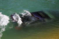 ÖZDEMİR SABANCI - Adana'da Otomobil Sulama Kanalına Düştü