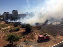ORMANA - Antalya'da Orman Yangını