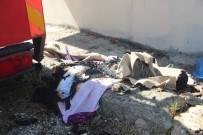 PELITÖZÜ - Balkon Yangını Büyümeden Söndürüldü