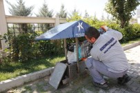 KÜÇÜKÇEKMECE BELEDİYESİ - Sokak Hayvanları Bu İstasyonlarda İhtiyaçlarını Karşılıyor