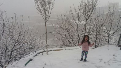 Hakkari'de Kar Yağışı