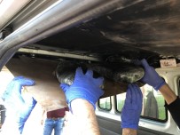 İNCIRLIK - Adana'da 25 Kilo 950 Gram Esrar Ele Geçirildi