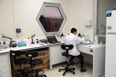 'Bal'lı Kazanç Dönemi Bitti