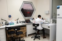 SEDDAR YAVUZ - 'Bal'lı Kazanç Dönemi Bitti