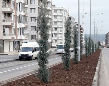 Batman'da Yeşil Alanlar Çoğaltılıyor