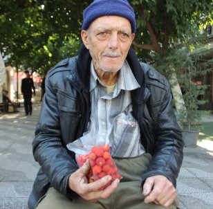 Dağ Çilekleri Yiyenlere Şifa, Toplayanlara Ekmek Oluyor