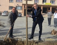 ÇALIŞAN GAZETECİLER GÜNÜ - Kendi Günlerinde Ağaç Diktiler