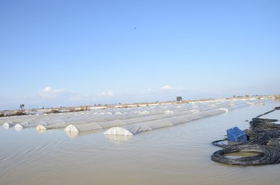Mersin'de Şiddetli Yağışların Zararı 115 Milyon Lira