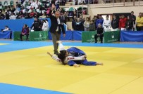 Osmangazi'de Judo Heyecanı