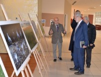 EĞİTİM SEFERBERLİĞİ - Tarım Eğitiminin 172. Yılı Uludağ Üniversitesi'nde Kutlandı