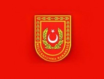 EMIN ÇÖLAŞAN - Bakanlıktan Cumhurbaşkanı'nın dedesiyle ilgili açıklama