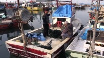 KÜRESEL ISINMA - Balıkçıların Kar Yağışı Beklentisi