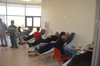 Besni Devlet Hastanesinden Kızılay'a Kan Ve Kök Hücre Bağışı