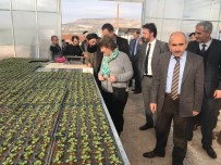 BM Ve UNDP'nin Türkiye Temsilcisinden Kilis'e Ziyaret