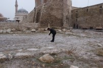 Her Şey Kuşlar İçin