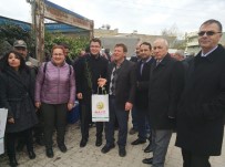 Perşembe Pazarında Fidan Dağıtımı