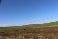 Silvan'da Kuraklık Endişesi