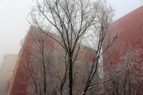 Ağrı'da Soğuk Hava Ve Sis Etkili Oluyor