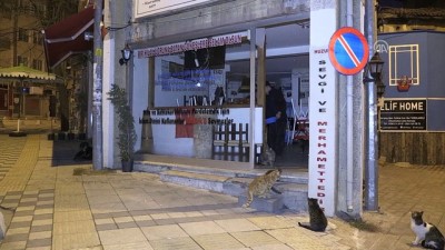Bu Kahvehanenin Kapıları Önce Sokak Hayvanlarına Açılıyor