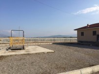 TANOBA - Erbaa'da Hayvan Pazarı Kapatıldı