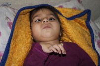 Günden Güne Eriyor