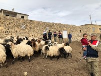 Jandarma-Vatandaş El Ele