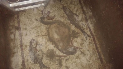 Tarsus'taki Kaçak Kazıdan Balık Ve Kuşlu Mozaik Çıktı