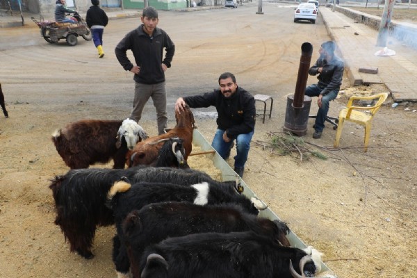 Twitterda 1 milyon takipçiye ulaşınca...