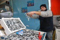 DAVUL ZURNA - Davullu, Zurnalı Şoksuz Hamsi Kutlaması