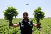 ÖZEL HAREKAT POLİSLERİ - (Düzeltme) Adana'da 1 Yılda 48 Milyon 616 Bin Liralık Uyuşturucu Ele Geçirildi
