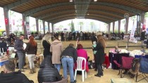 DOBERMAN - İzmir'de 'Köpek Irkları Yarışması'