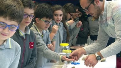 Okul Okul Dolaşıp Çocuklara Böcekleri Anlatıyorlar