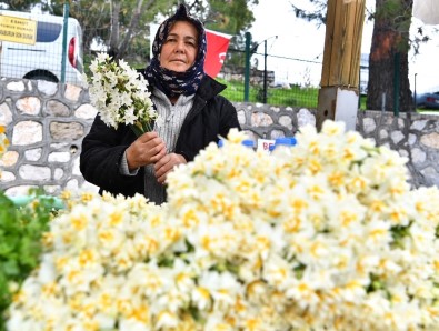 İzmir'de Nergis Kokulu Günler Başladı
