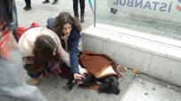SOKAK KÖPEĞİ - Taksim Metrosunda Duygulandıran Görüntü