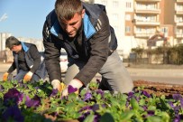 NEVROZ - Bağcılar'da Çiçek Dikim Çalışmaları Devam Ediyor
