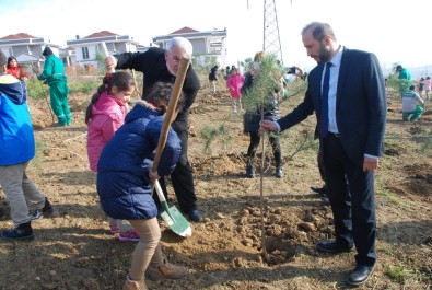 İzmit'te Kafkaslar İçin Hatıra Ormanı