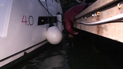 Köpekten Kaçarken Denize Düşen Kediyi Vatandaşlar Kurtardı