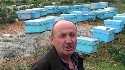 Mersin'de Arı Kovanı Hırsızlığı