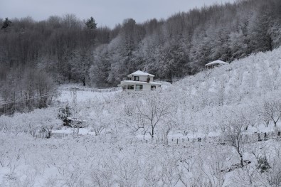 Zonguldak'ta Yüksek Kesimlerde Kar Etkili Oldu