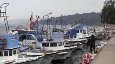 'Balıkçılar Olarak Kendi Bindiğimiz Dalı Kesiyoruz'