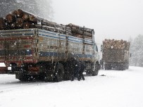 KAR TEMİZLEME - Domaniç'te Kar Yağışı Ve Sis Ulaşımı Zorlaştırıyor