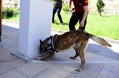 Uşak'ta Narkotik Detektör Köpekler Uyuşturucuya Göz Açtırmıyor