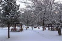 ERKEN UYARI - Van'da Kar Yağışı