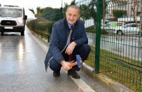 ALTıNKUM - Didim'de Yarı Maraton Heyecanı