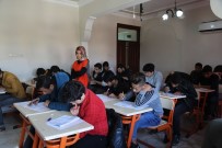 YÜKSEK ÖĞRETİM - Eyyübiye Belediyesi İle Öğrenciler Sınava Hazırlanıyor