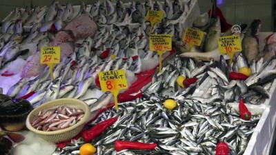 Karadenizli Balıkçılar Umutlarını Gelecek Sezona Bağladı