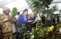 KELEBEKLER VADİSİ - Konya'nın Favori Ziyaret Mekanı Tropikal Kelebek Bahçesi