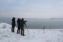 ERÇEK GÖLÜ - Van'da 'Kış Ortası Su Kuşu Sayımı' Başladı