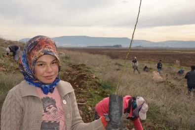 Yanan Ağaçlandırma Sahasına 18 Bin Badem Fidanı Dikildi