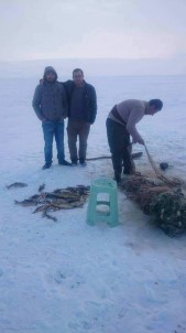 Buzla Kaplanan Türkiye'nin En Yüksek Gölünde Balık Avı
